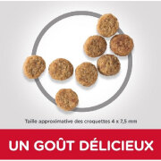 HILL'S Science Plan croquettes Adult Light Small & Mini Poulet