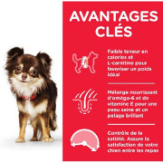 Hill's Science Plan Croquettes Adult Light Small & Mini Poulet