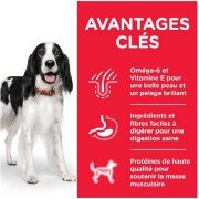 HILL'S Science Plan croquettes Adult Medium Poulet