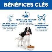 Hill's Science Plan croquettes Adult Medium Agneau & Riz