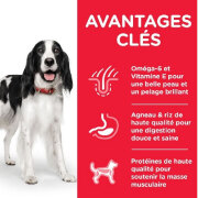 HILL'S Science Plan croquettes Adult Medium Agneau & Riz