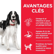 HILL'S Science Plan croquettes Adult Medium Agneau & Riz