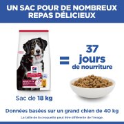 Hill's Science Plan croquettes Adult Large Breed Poulet sac de 12 kg