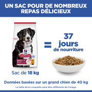 Hill's Science Plan croquettes Adult Large Breed Poulet sac de 12 kg