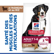 Hill's Science Plan croquettes Adult Large Breed Agneau & Riz Sac de 12 kg