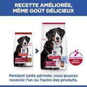 Hill's Science Plan croquettes Adult Large Breed Agneau & Riz Sac de 12 kg