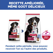 Hill's Science Plan croquettes Adult Large Breed Agneau & Riz Sac de 12 kg