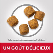 HILL'S Science Plan croquettes Mature Adult 7+ Medium Agneau Riz