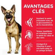 HILL'S Science Plan croquettes Chien Mature Adult 6+ Large Breed Poulet