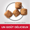 Hill's Science Plan croquettes Chien Mature Adult 6+ Large Breed Poulet 12 kg