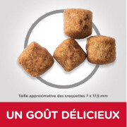HILL'S Science Plan croquettes Chien Mature Adult 6+ Large Breed Poulet