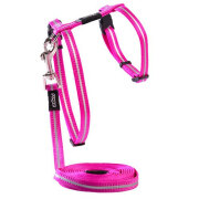 Harnais chat et laisse chaton dès 2 mois ou 3 mois AlleyCat rose