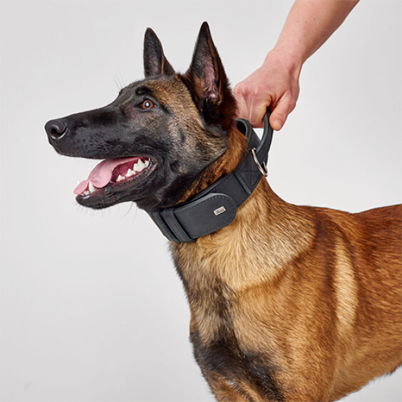 Collier d'entraînement avec poignée Larvik Hunter