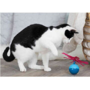 Jouet Pop-up Ball pour chat