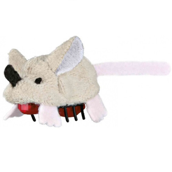 Jeu souris avec mouvement