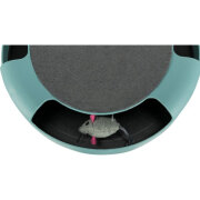 Jeu Catch The Mouse pour chat