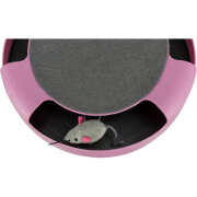 Jeu Catch The Mouse pour chat