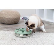 Jouet Crazy Circle pour chat