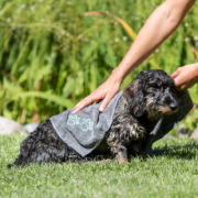 Serviette microfibre pour chien 60x50 cm