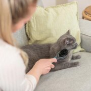 Grande Brosse double en nylon pour chaton