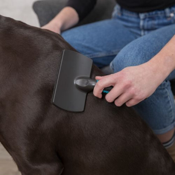 Grande Brosse toilettage souple en métal