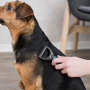 Étrille universelle pour chien et chat bleue