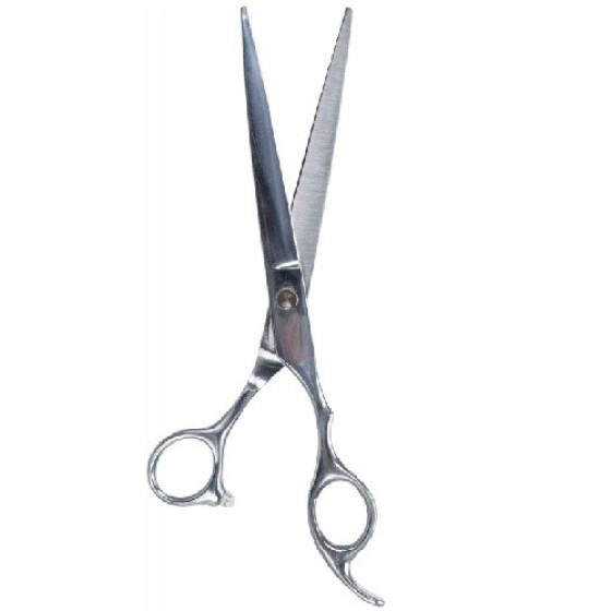 Ciseaux droits professionnels de tonte