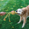 KONG Jouet Wubba Weaves avec corde