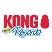 Balle KONG Rewards Tennis