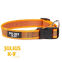 Collier Julius K9 color gray orange - SMALL