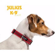 Collier Julius K9 color gray rouge