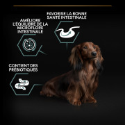 PRO PLAN Small & Mini Adult Canin Sensitive digestion