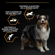 PRO PLAN Medium Adult Canin Optibalance