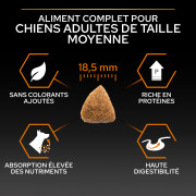 PRO PLAN Large Athletic Adult poulet Optibalance