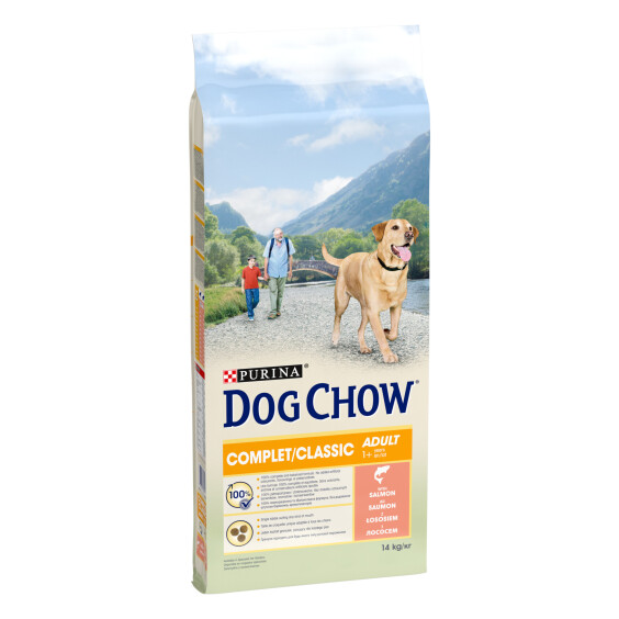 DOG CHOW Croquettes complètes au saumon pour chien adulte