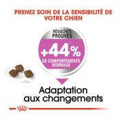 ROYAL CANIN Mini Relax Care, croquettes