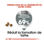 ROYAL CANIN Croquettes Mini Dental Care