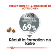 ROYAL CANIN Croquettes Mini Dental Care Sac de 3 kg