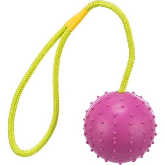 Lanceur de balle en caoutchouc