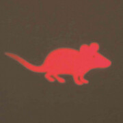 Laser pointeur LED souris pour chat