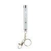 Laser pointeur LED poisson