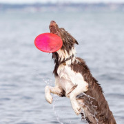 Frisbee Sporting disc TPR