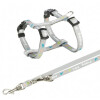 Pack harnais Junior gris