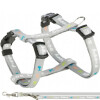 Pack harnais Junior gris