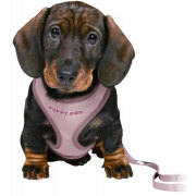 Harnais Baby mauve avec laisse