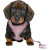 Harnais Baby mauve avec laisse