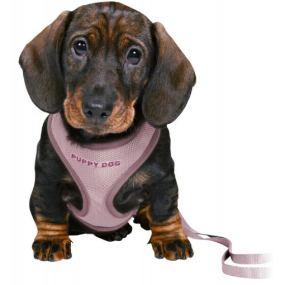 Harnais Baby mauve avec laisse