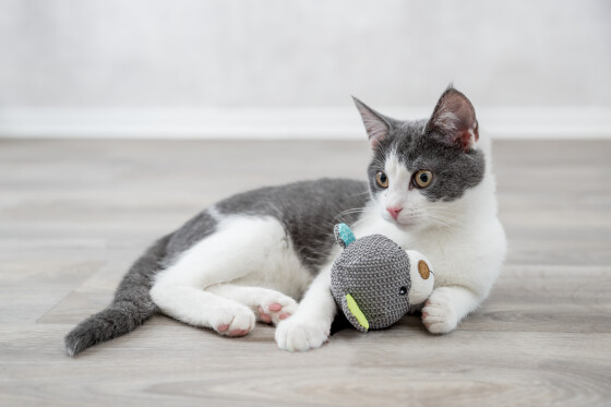 Doudou Junior My Catnip