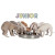 Gamelle Junior inox chiot