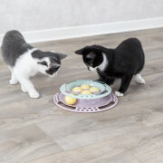 Jouet Junior Kitten Circle